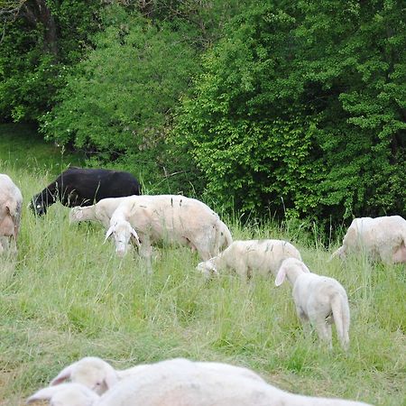 Landgasthof Seyrlberg Reichenau im Mühlkreis Exteriér fotografie