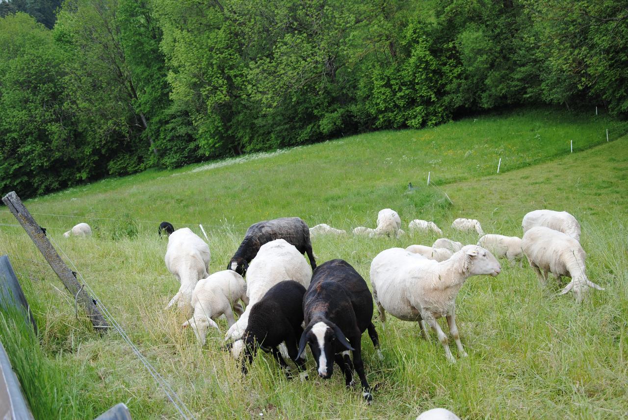 Landgasthof Seyrlberg Reichenau im Mühlkreis Exteriér fotografie